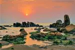 Private Car From Ho Chi Minh City <=> Phan Thiet (private car with driver)