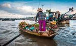 Private Car From Ho Chi Minh City <=> Mekong Delta (private car with driver)